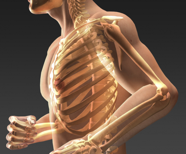 Body