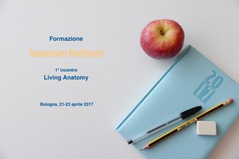 Pretraining: “Spectrum Rolfing®” Pretraining: “Spectrum Rolfing®”