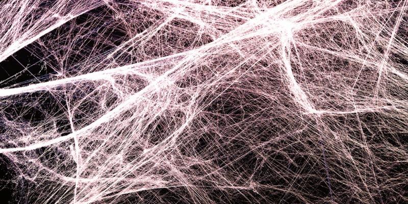 Un'altra evidenza sulla Fascia Un'altra evidenza sulla Fascia