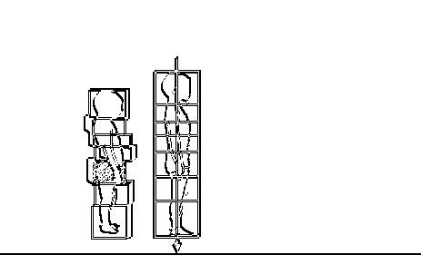 La forza di gravità La forza di gravità