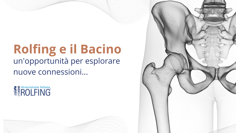 Rolfing e il Bacino un'opportunità per esplorare nuove connessioni Rolfing e il Bacino un'opportunità per esplorare nuove connessioni